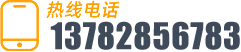 0391-2950258